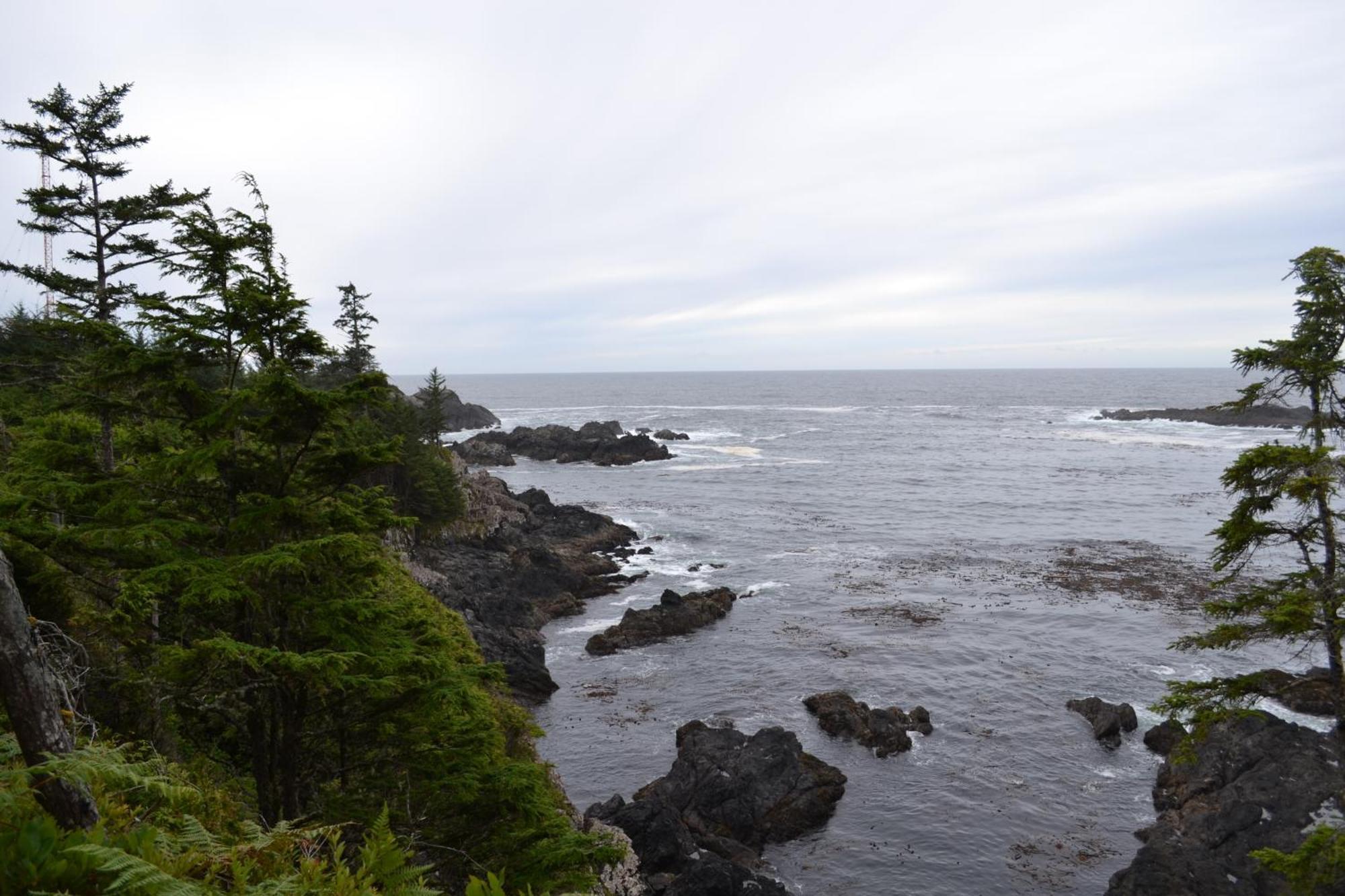 Easy On The Edge Villa Ucluelet Exterior photo