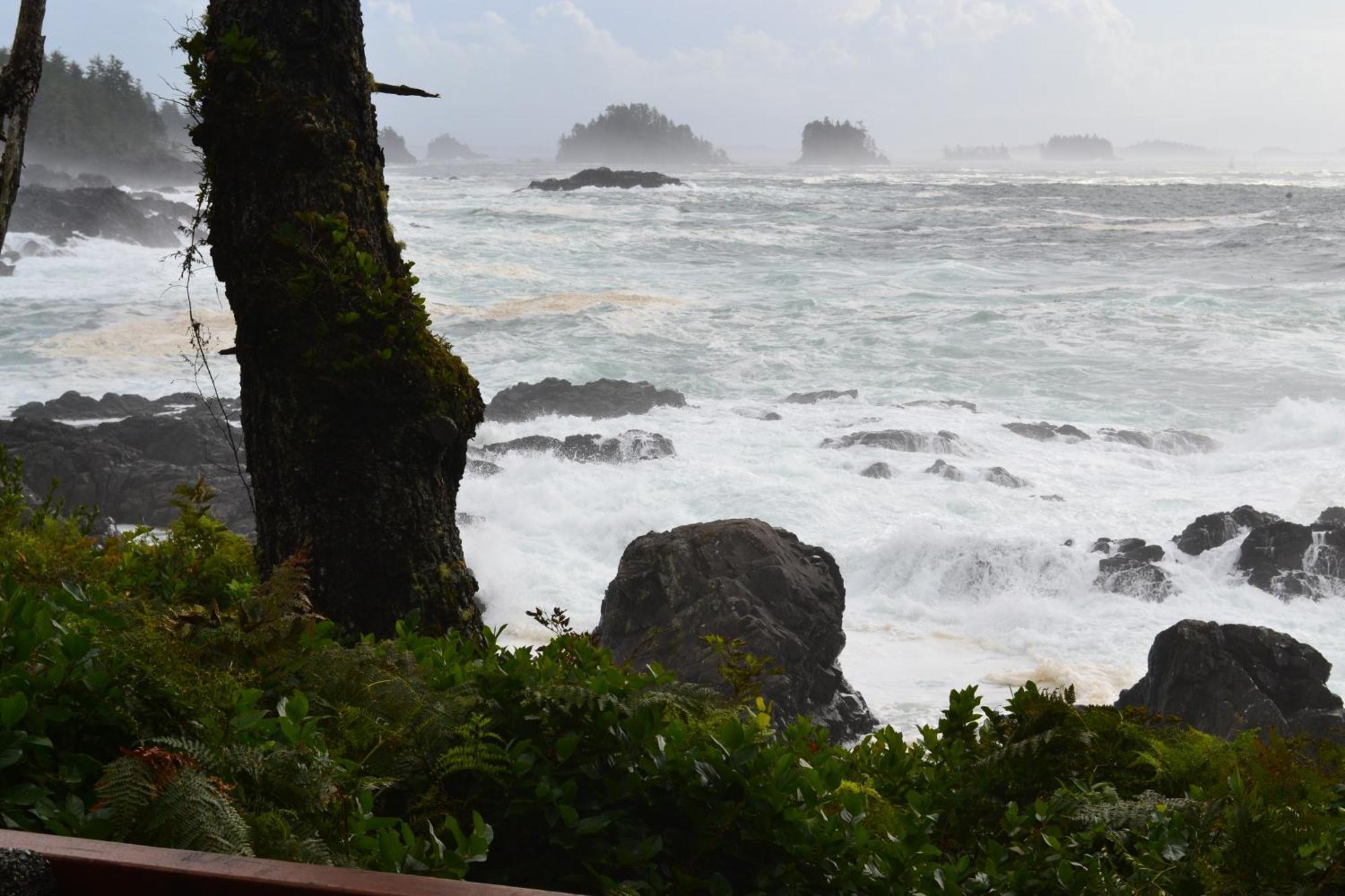 Easy On The Edge Villa Ucluelet Exterior photo