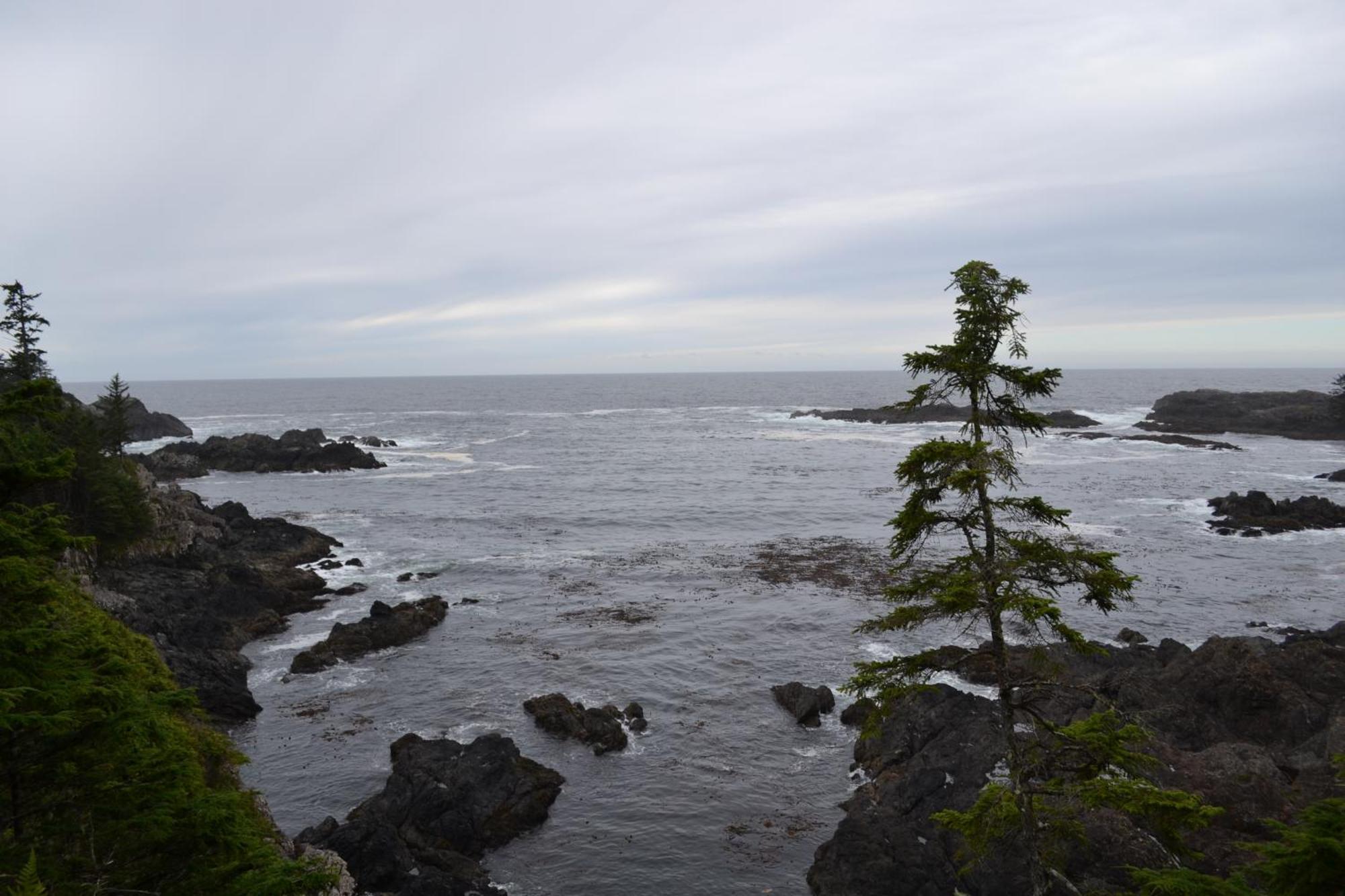 Easy On The Edge Villa Ucluelet Exterior photo