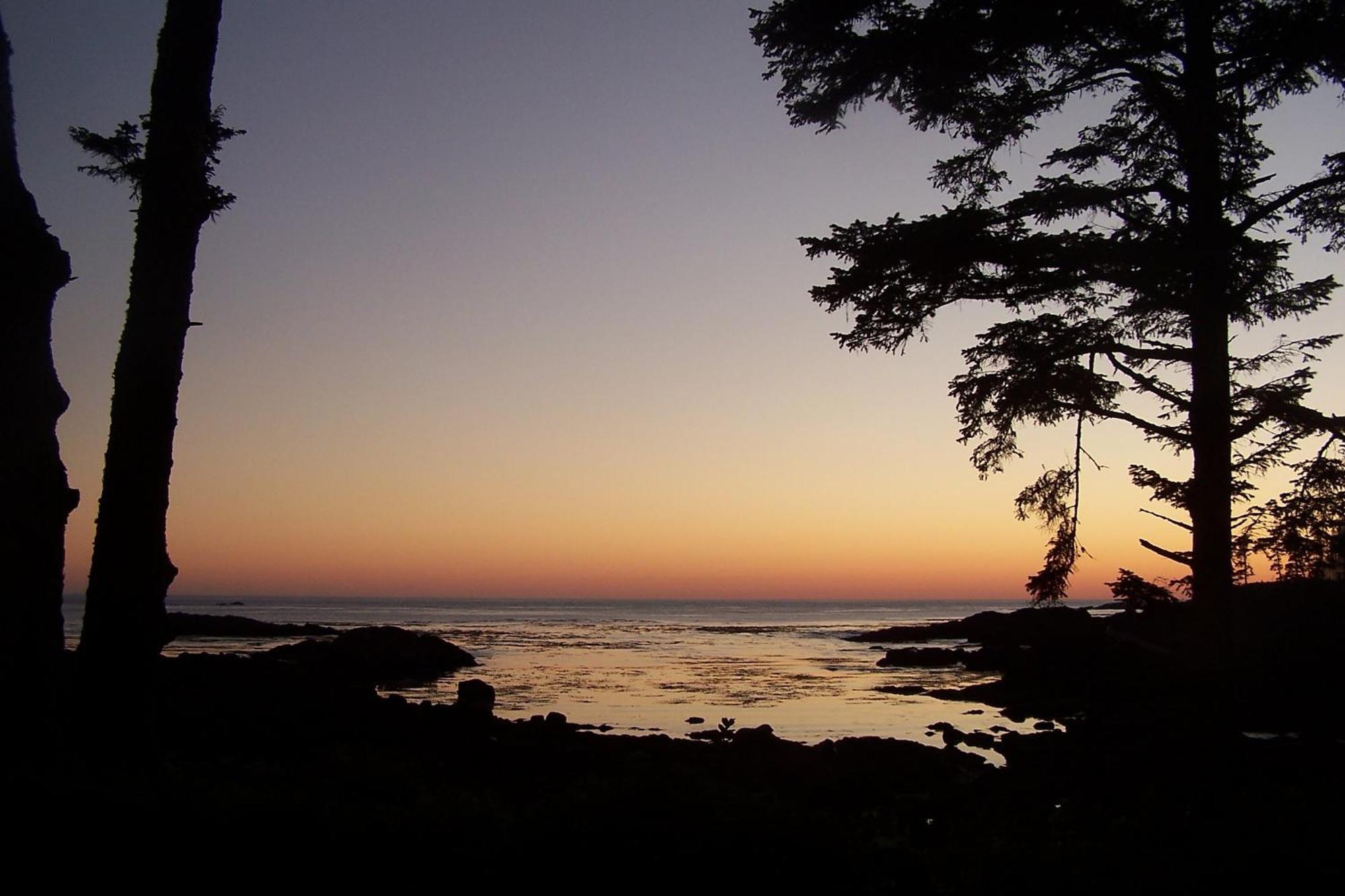 Easy On The Edge Villa Ucluelet Exterior photo